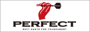 プロソフトダーツPERFECTサイトへ